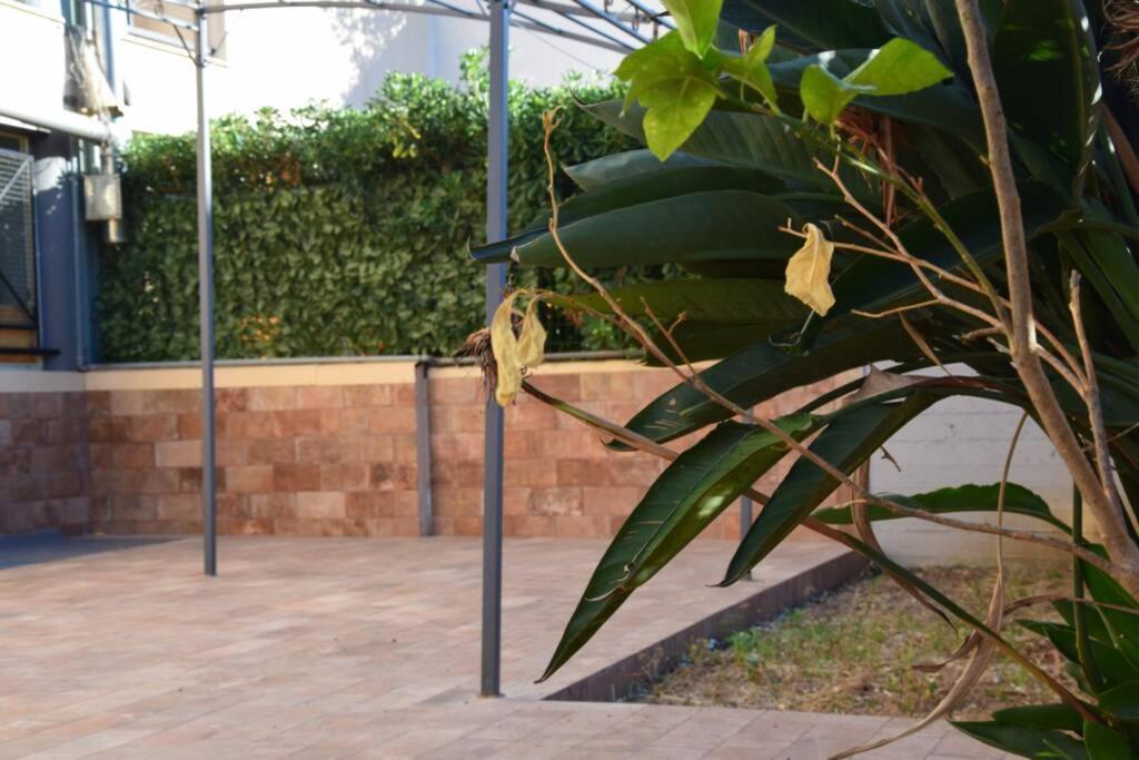 דירות מסינה Casa Di Aida מראה חיצוני תמונה